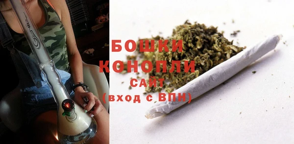 марки lsd Гусиноозёрск