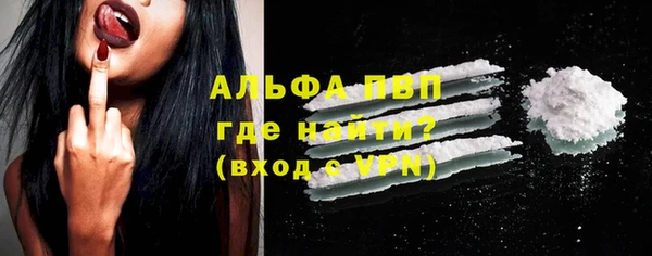 трава Новодвинск