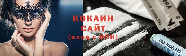стаф Гусь-Хрустальный