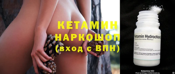 стаф Гусь-Хрустальный