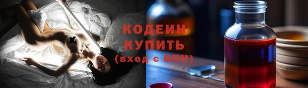 стаф Гусь-Хрустальный