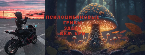 мдма Ленинск-Кузнецкий
