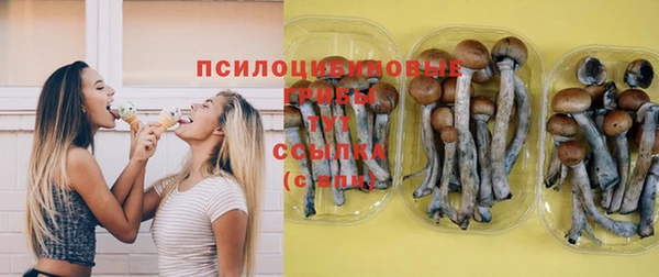 марки lsd Гусиноозёрск
