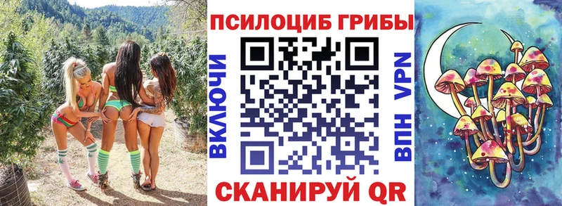 Псилоцибиновые грибы Magic Shrooms  хочу наркоту  Отрадный 